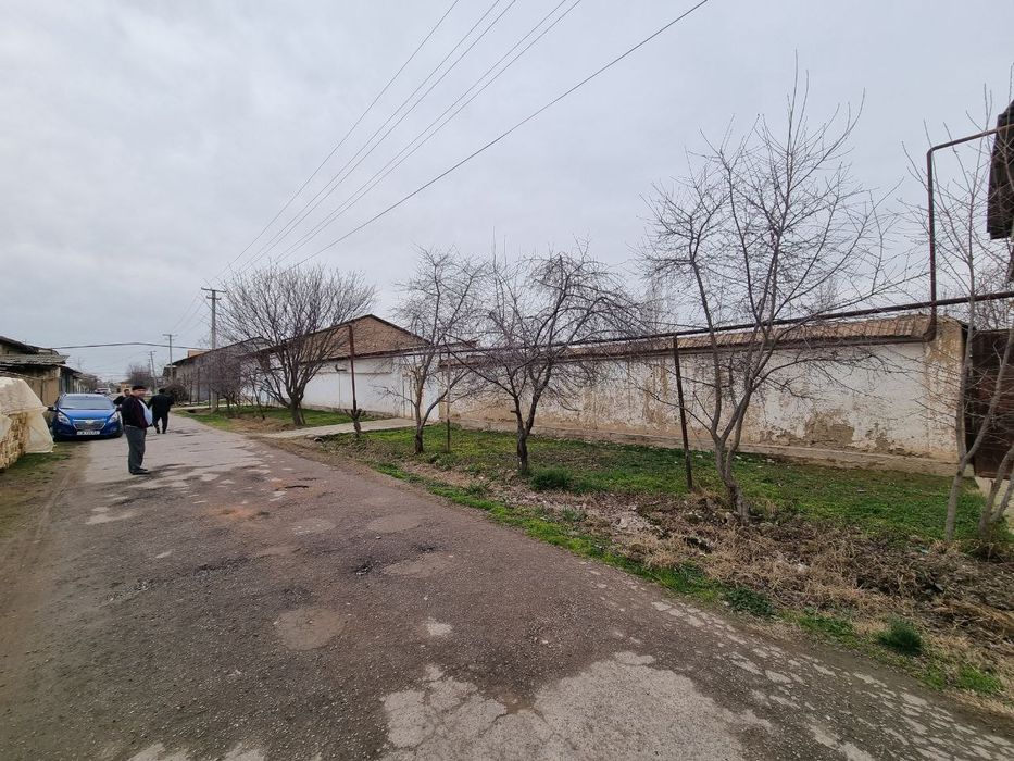 16-сот. Зангиота туман
