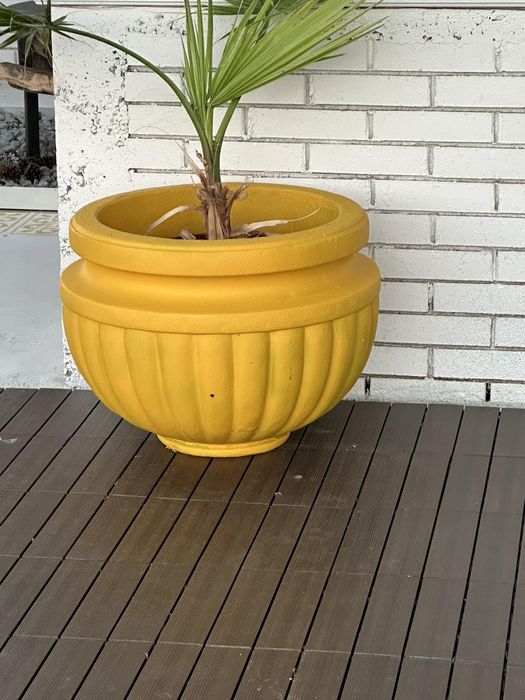 Делви кашпи за градина