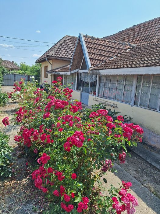 Vand casa în Cornesti noi