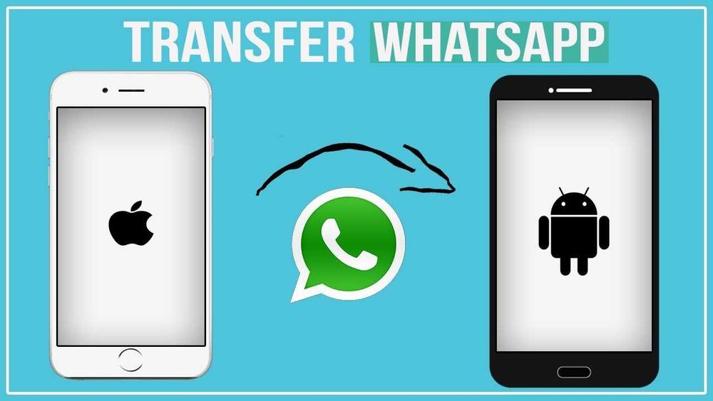 Transfer conversatii Whatsapp de pe iPhone pe Android