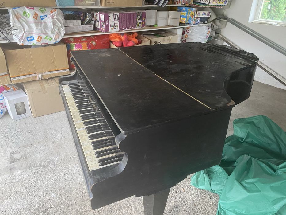 Pian Frantz Wirth placa bronz