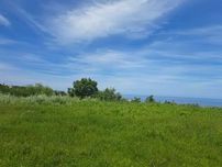 Парцел в регулация