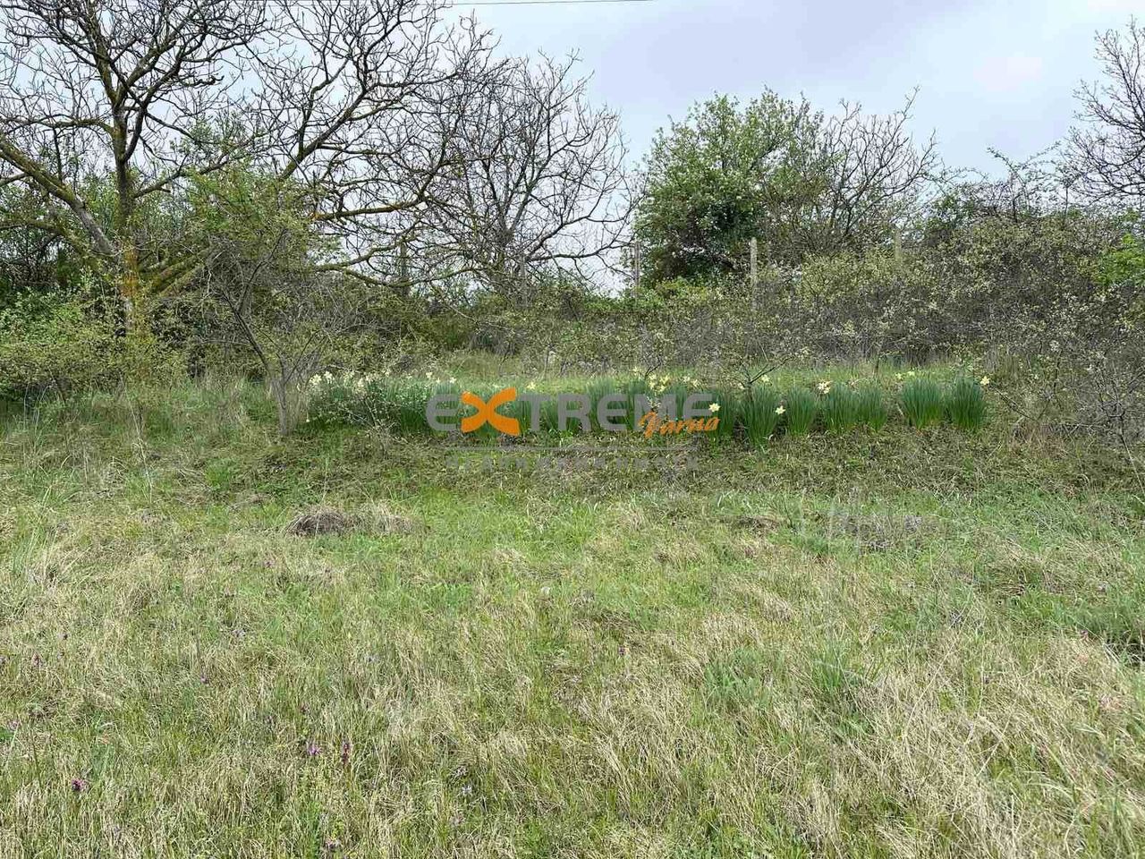 Продава се Парцел в с. Звездица, Област Варна - 600 кв.м за 30 €/кв.м - Снимка #5