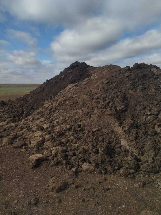 Перегной , чернозём