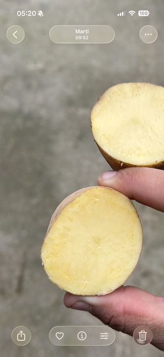 Cartofi albi soi:prada