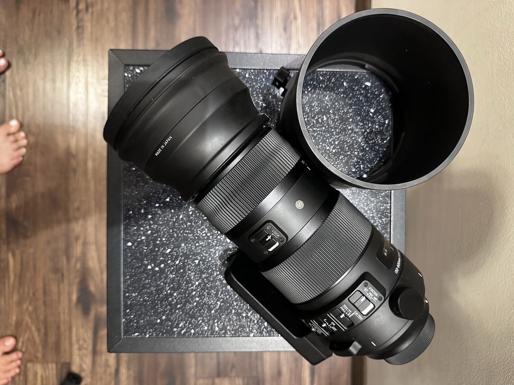 Nikon D850 + Sigma 70-200mm + Sigma 150-600mm
