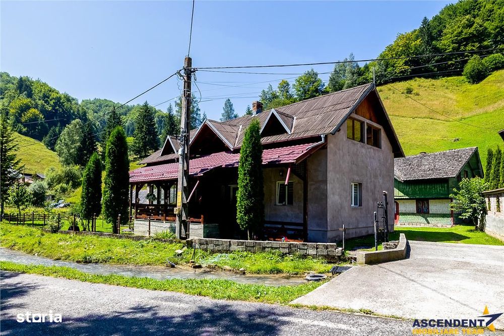 Case si teren generos de 9400 mp in Dambovicioara, Arges