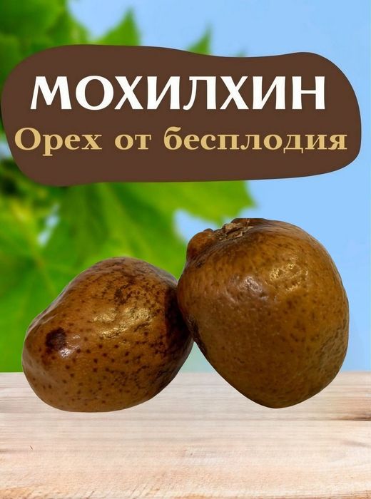 Мохилхин Орех бесплодие женщинам мужчинам простатит болезни