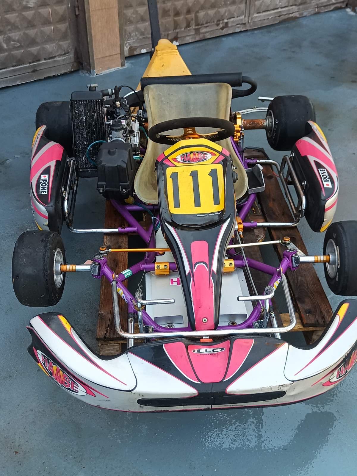 Картинг Ротакс  Rotax