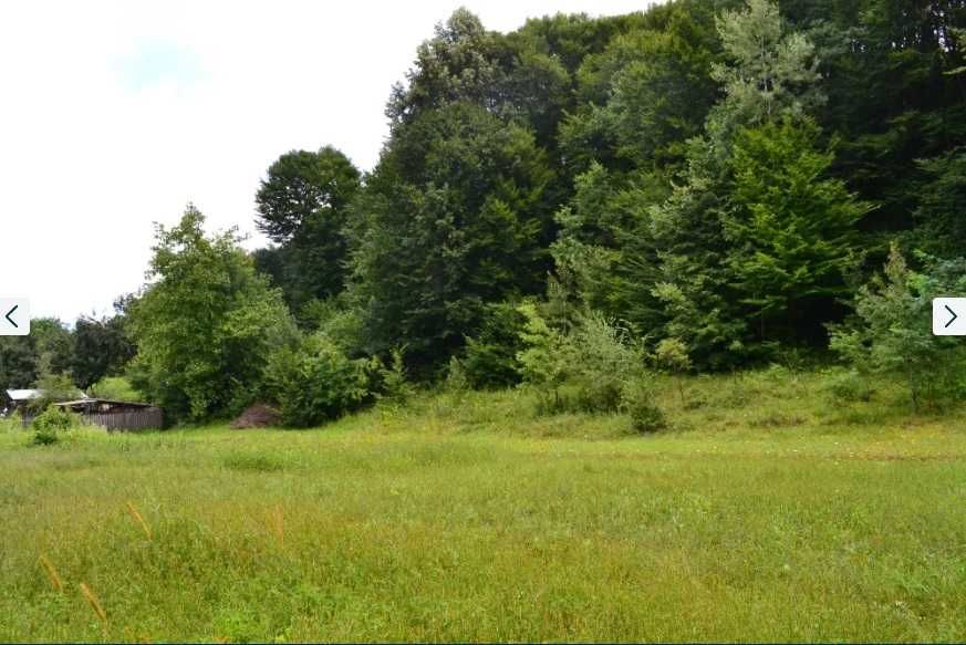 Teren intravilan Merisani jud Arges