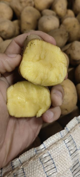 Смена картофи Б клас