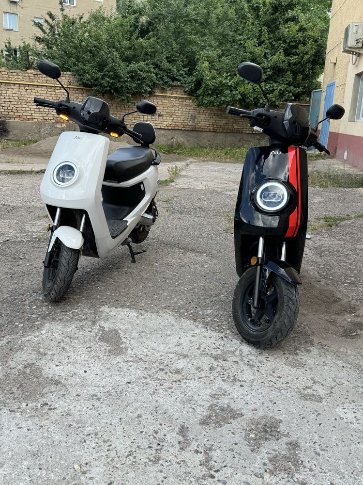 Niu mqi sport 180km