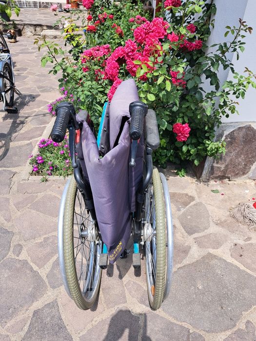 Căruț pentru adulti