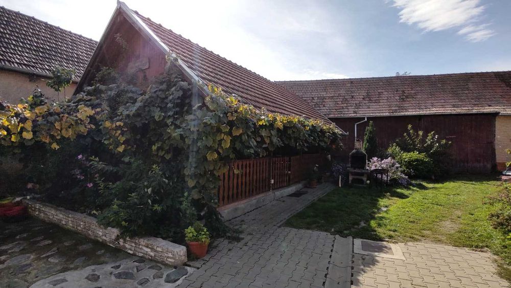 Revelion 2026 – Draguș, Brașov Pensiune completa 12 locuri | 9000 lei