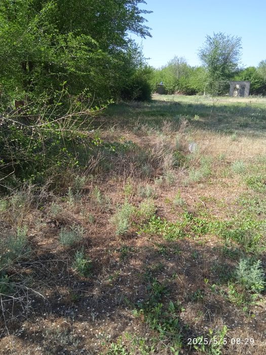 г.Алатау напротив село Заречное дачный массив Эстрагон 12соток.