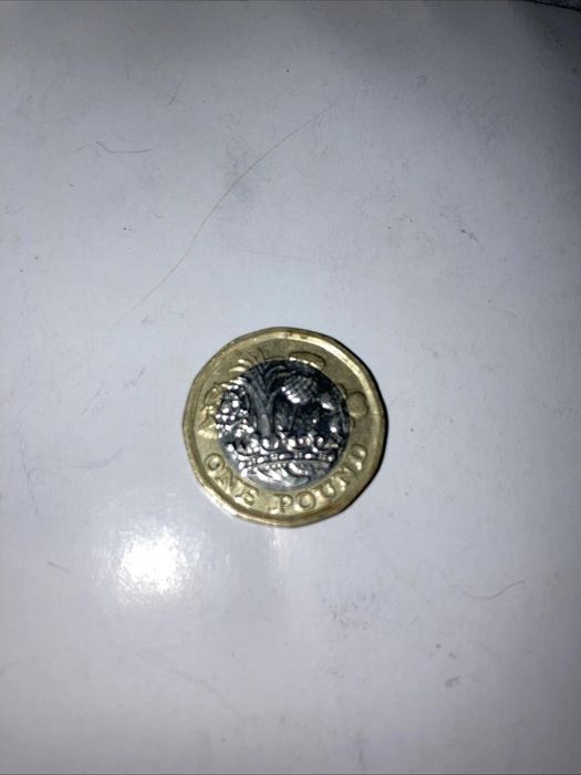 Moneda one 1 lira pound Elizabeth II 2 2017