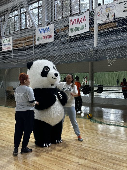 Продам аниматорные мишки срочно Уступка есть