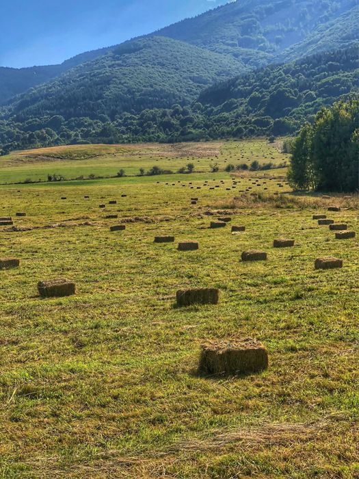 Продавам ливадно сено