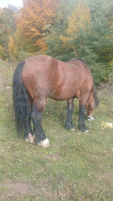 Vand ce se vede mai multe detali la telefon