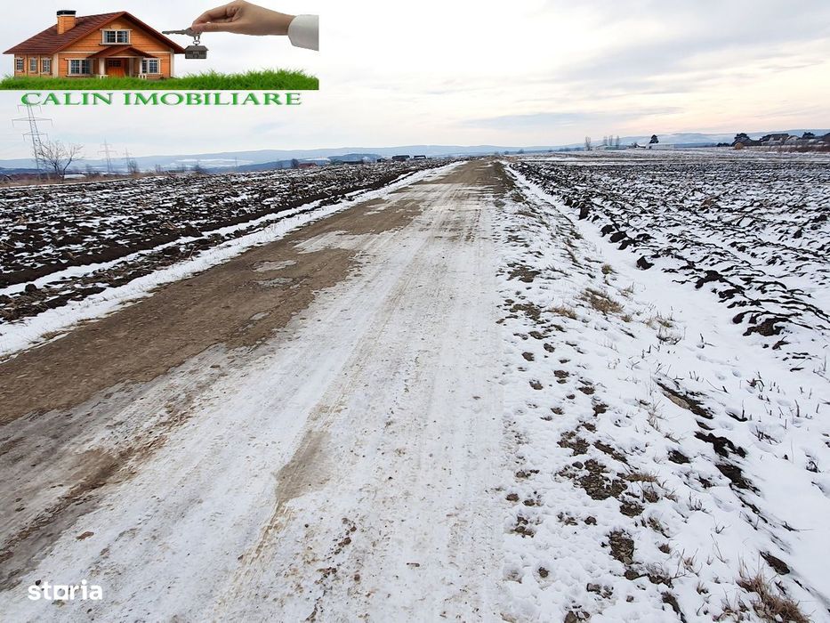 TEREN intravilan Rond Miroslava 9000 mp
