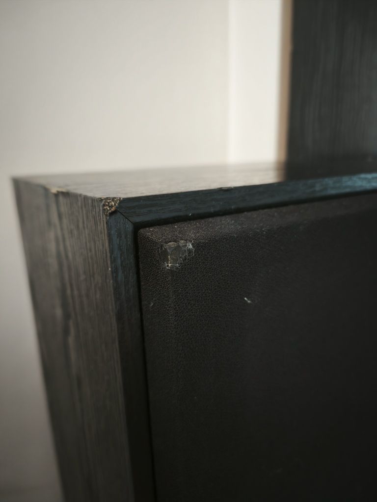 Radiotehnika s150/ Brandle studio monitor