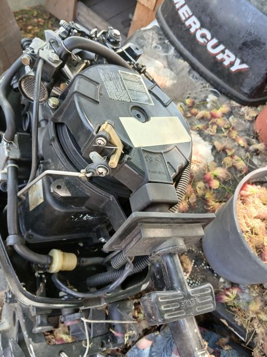 Vand barca kolibri 3,30km