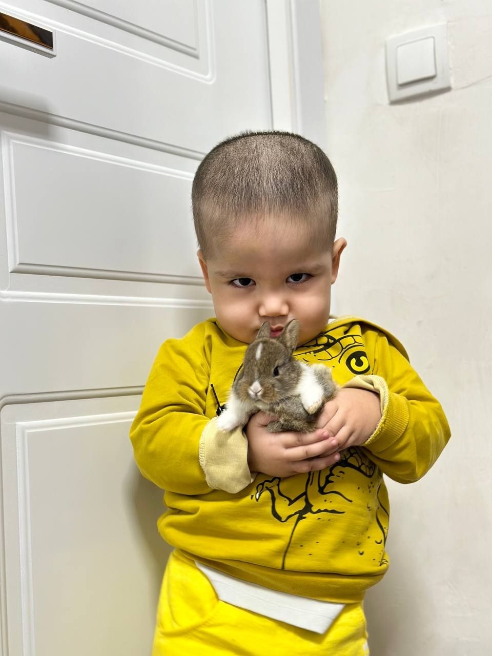 "Barcha Uchun Ideal Uy Hayvoni – Karlik Quyonchalari"

Uy hayvoni s
