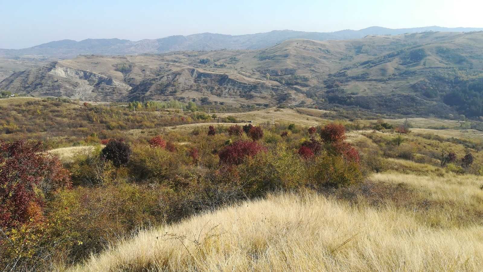 teren intravilan extravilan padure faneata jud Buzau comuna Scortoasa