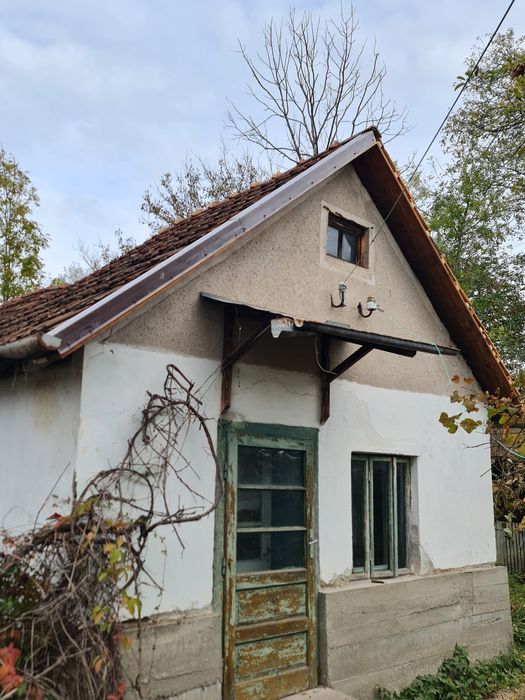 Alpinism utilitar, reparatii acoperis, demolat horn si toaletat copaci