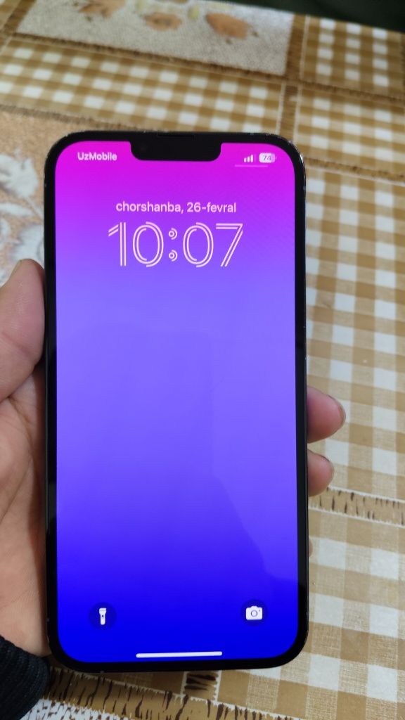 iPhone 13 pro max