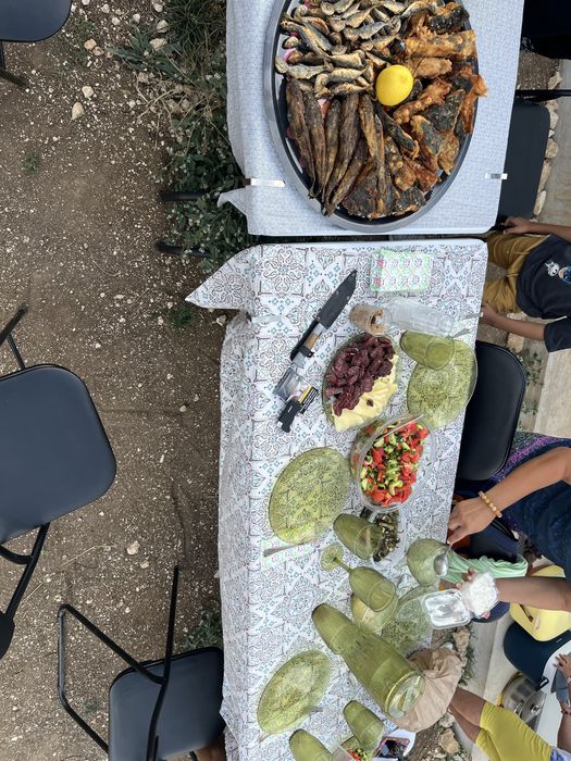 Продавам кормилна курия уаз 452