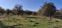Teren extravilan, 4021 mp, proprietar