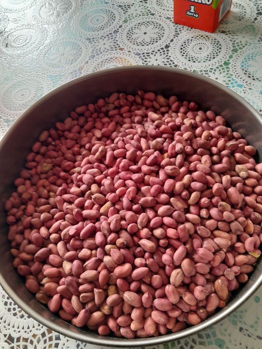 Фъстъци на едро реколта 2025