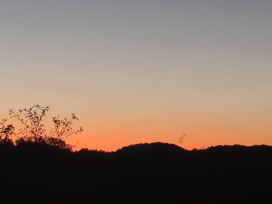 Amestecuri de plante medicinale  -pentru tine și familia ta