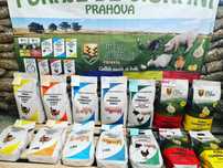 Fabrica furaje ciorani prahova!