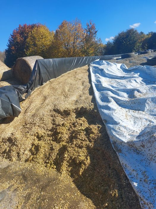 Siloz de porumb  de vanzare