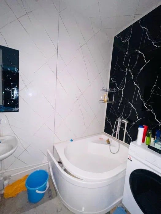 Продаётся 2х м.ойбек вестмистер