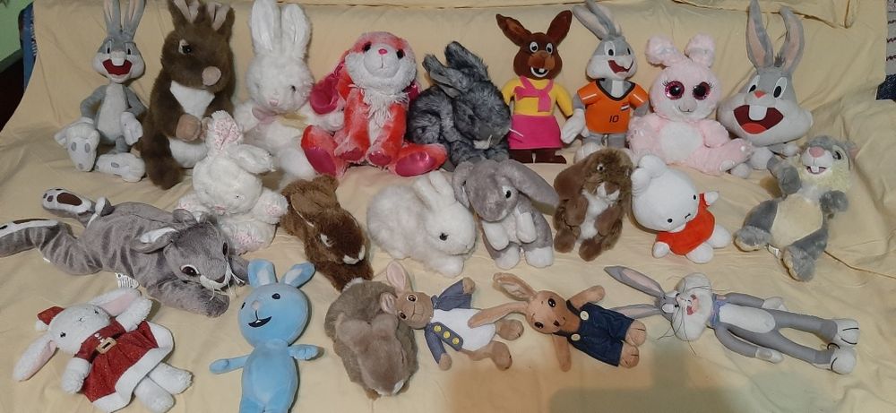 Poney,catei,iepurasi,acute,oite,lps