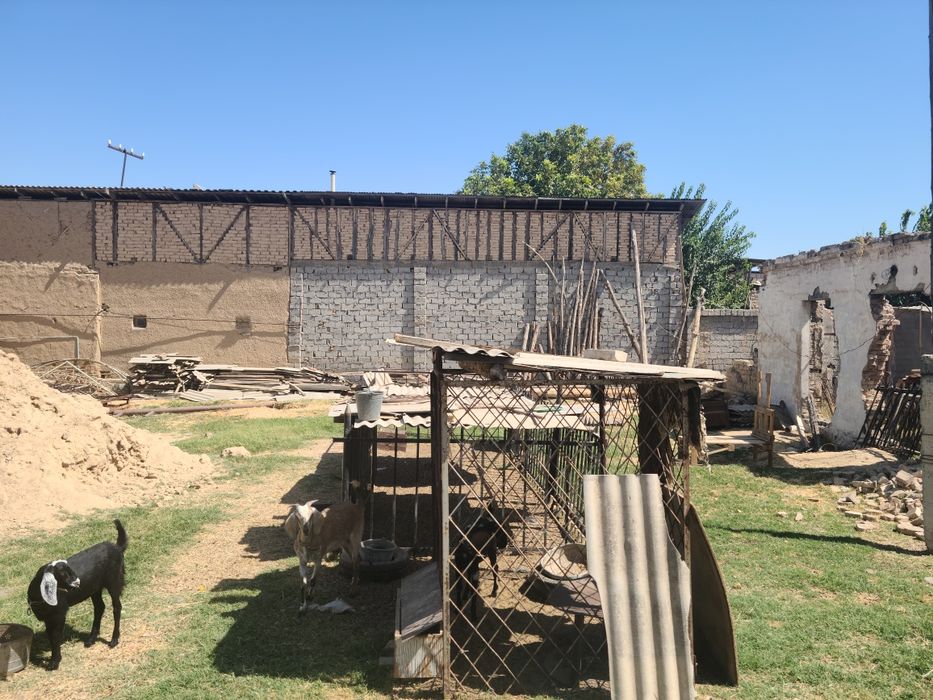 Yer sotiladi , Turkiston , 1 sotikdan 6 sotikgacha