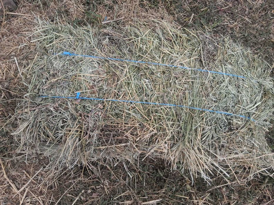 Vand baloti de lucerna