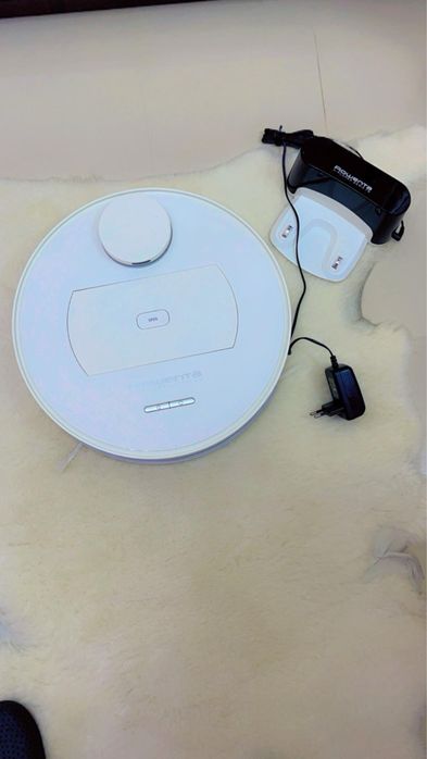 Rowenta X-Plorer S75