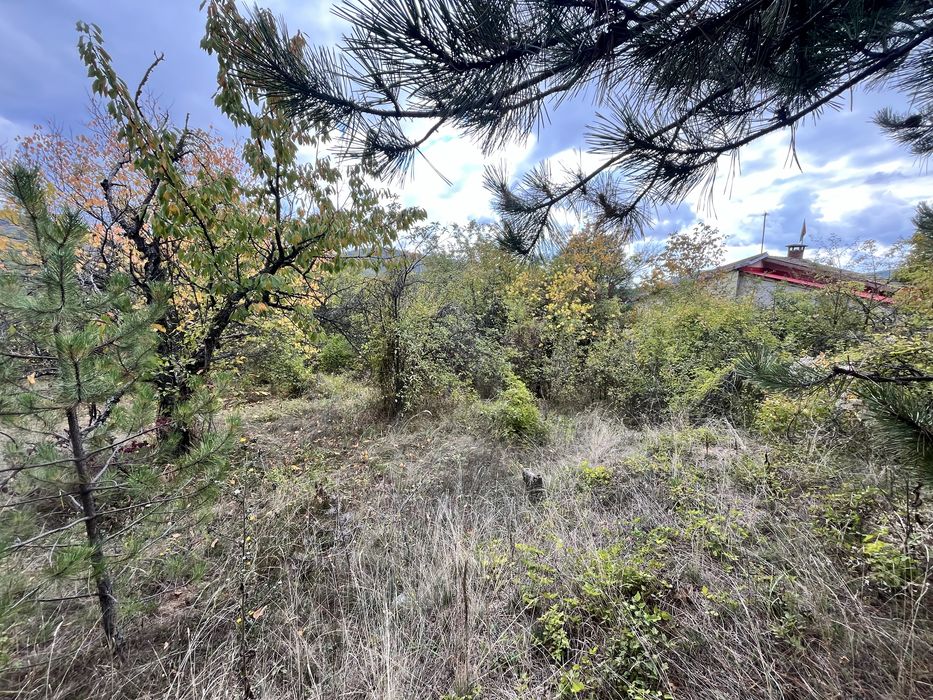 Дворно място……..