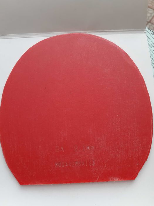 Butterfly Dignics 05