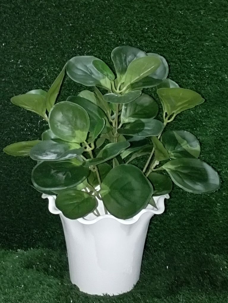 Suniy gullar arzon narxlarda