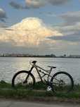 cannondale jekyll 2020 folosit