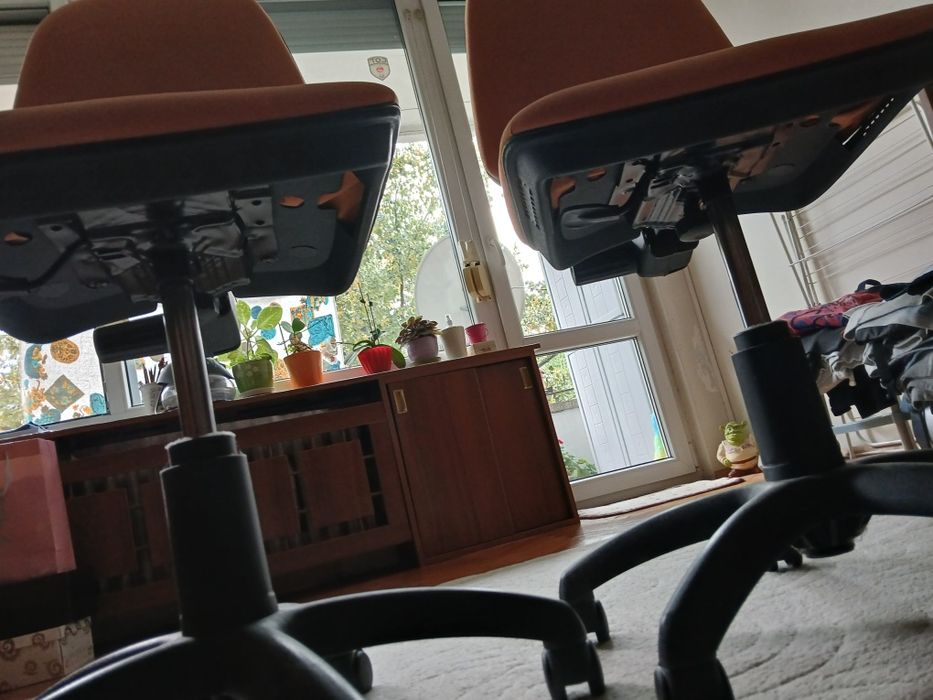 Офис стол - два броя по 60лв всеки