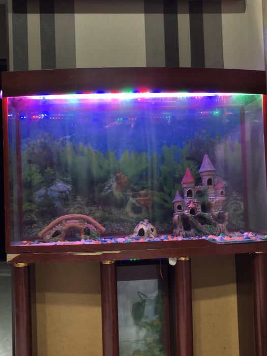 продается аквариум 140-150 литров