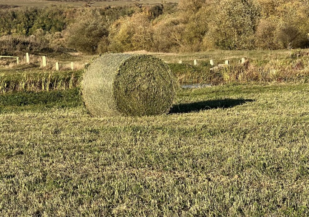 Baloti lucerna baloti fan rotunzi neplouati