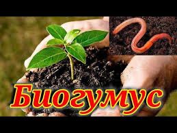 Biogomes dehqonlar uchun ogʻit