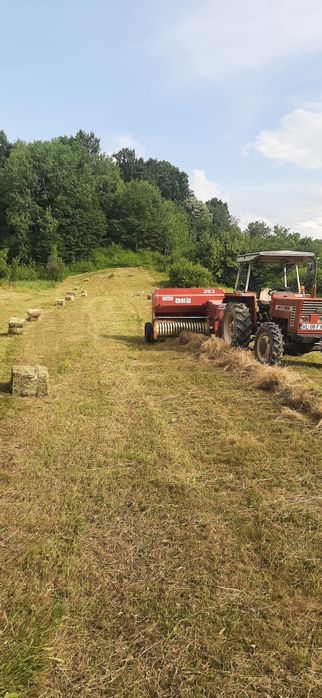 Baloti de fan de anu asta